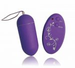 Huevo Vibrador Gemini - Imagen 2